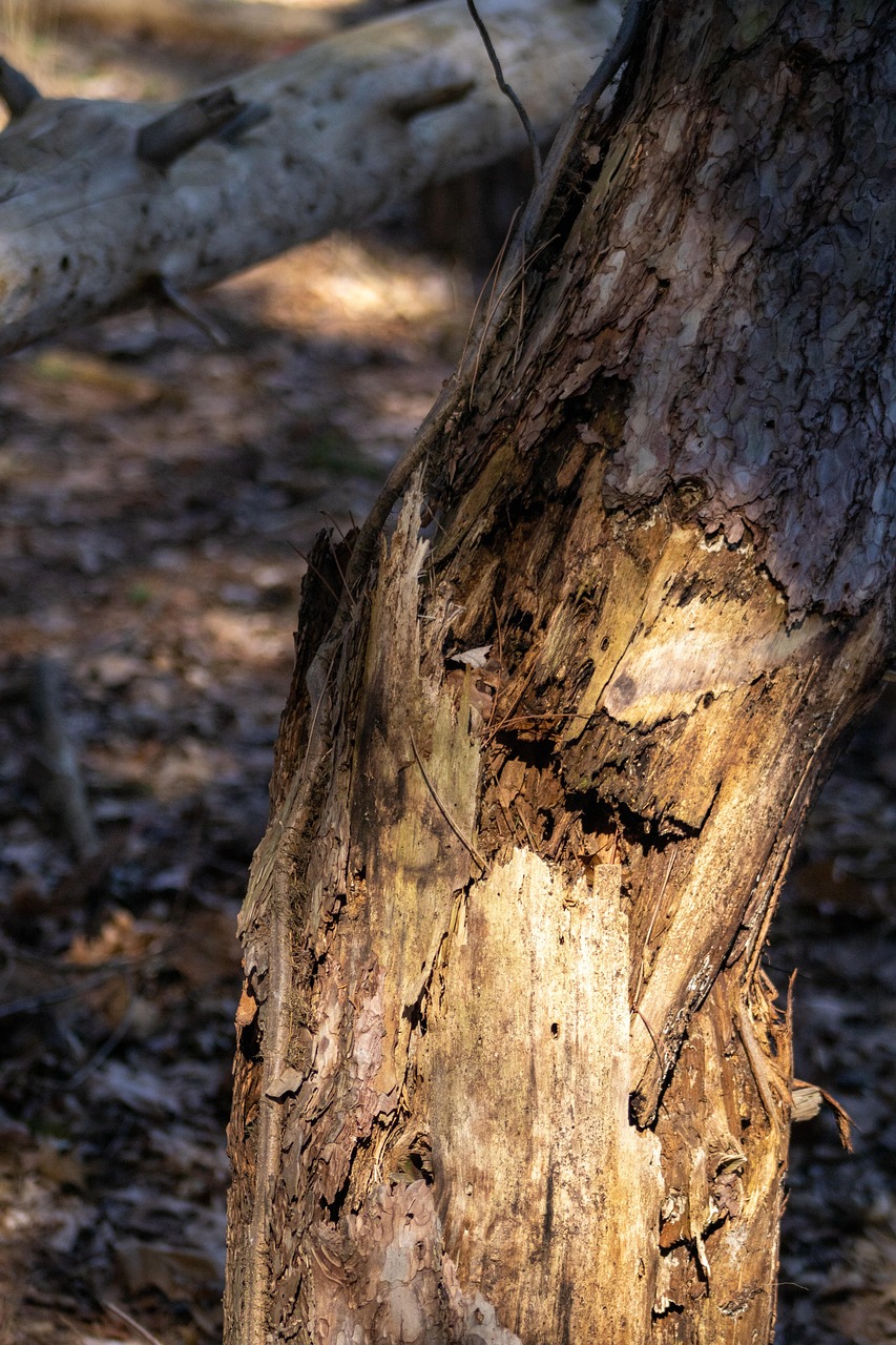 When You’re Broke and Broken: 9 Biblical Steps to Overcome Financial Hopelessness in Your Virtual Business Journey